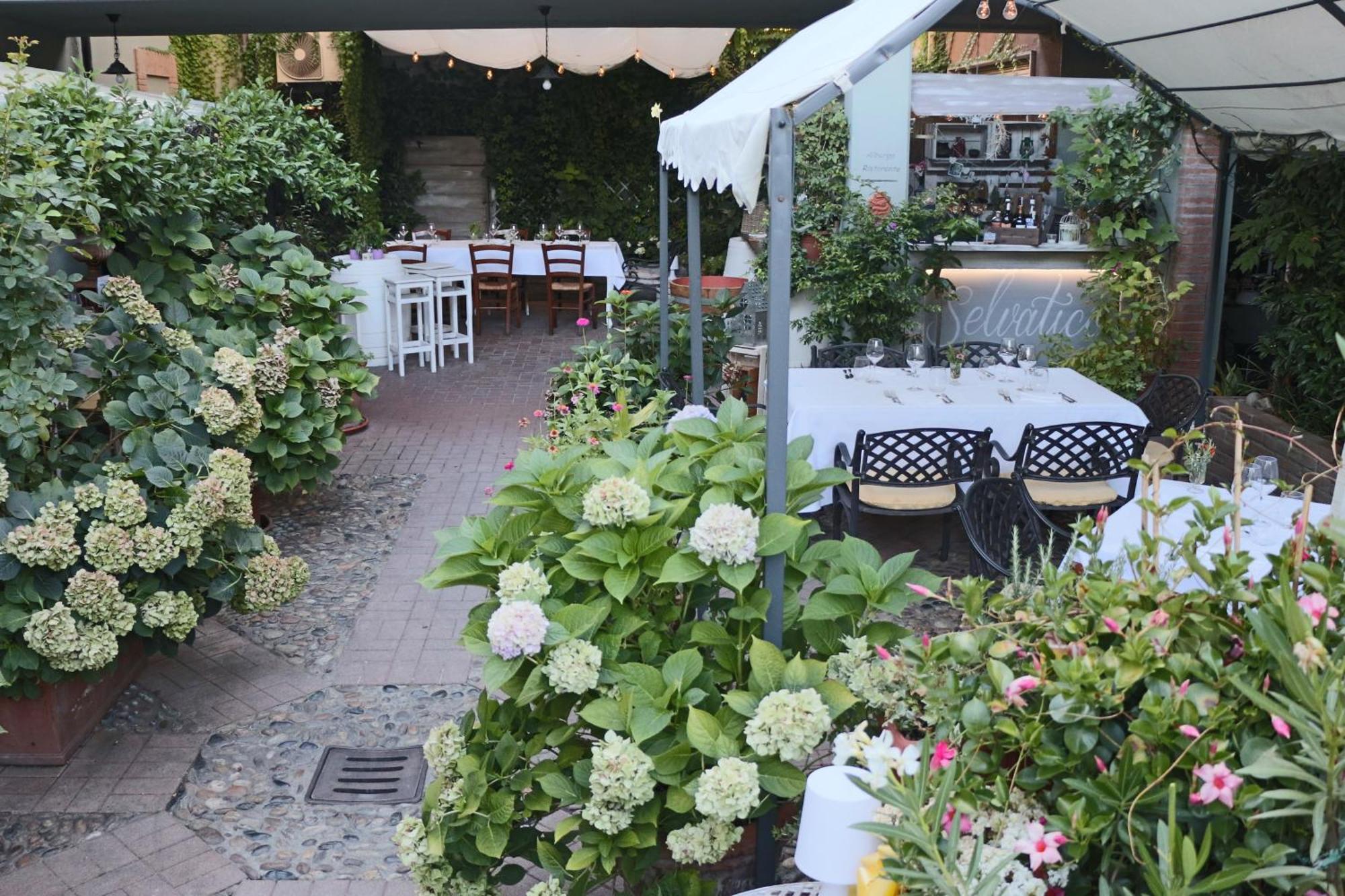 Albergo & Ristorante Selvatico Rivanazzano Terme Exteriér fotografie