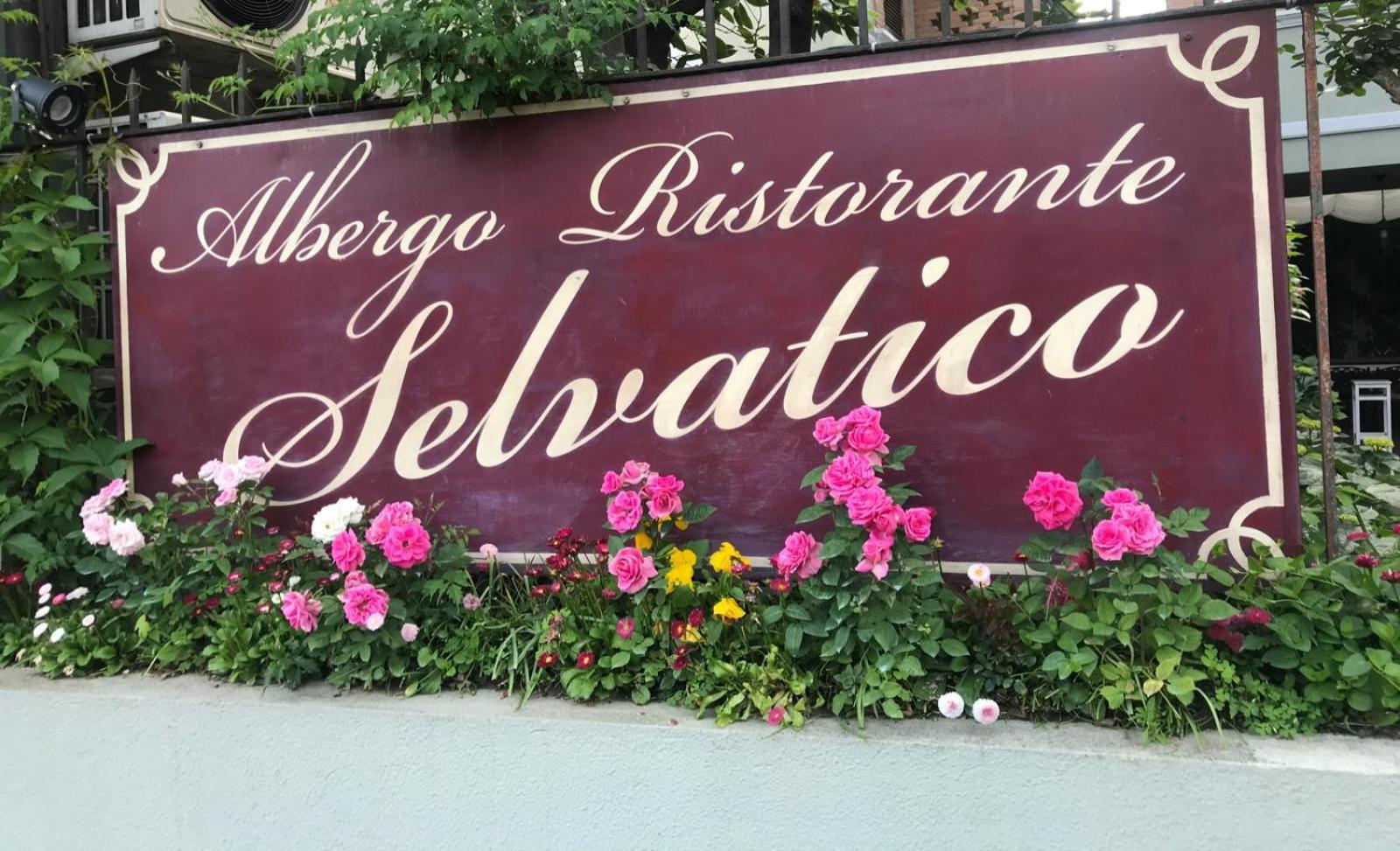 Albergo & Ristorante Selvatico Rivanazzano Terme Exteriér fotografie